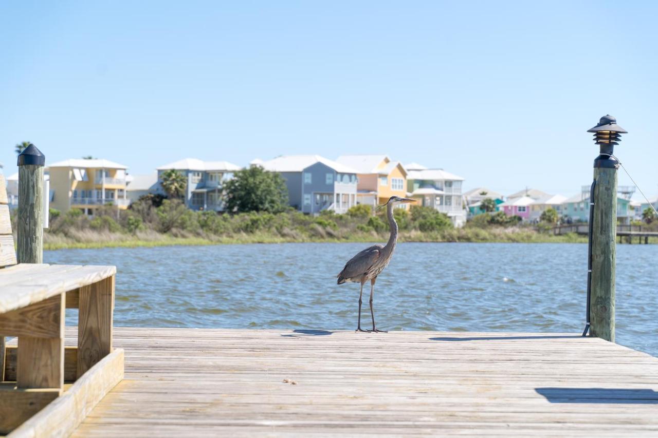Apartmán Compass Point 310 Gulf Shores Exteriér fotografie